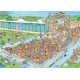 Jan van Haasteren Pool Pile-Up 1000 pieces
