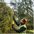 18V XR Pole Shears 55, Boom up to 3.35m, Cardboard