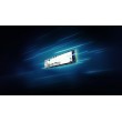 Kingston Technology 1000G NV3 M.2 2280 NVMe SSD