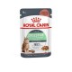 ROYAL CANIN Digestive Care Gravy - wet cat food - 12x85 g