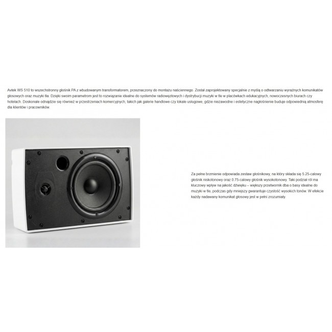 AVTEK WALL-MOUNTED SPEAKER WS 510