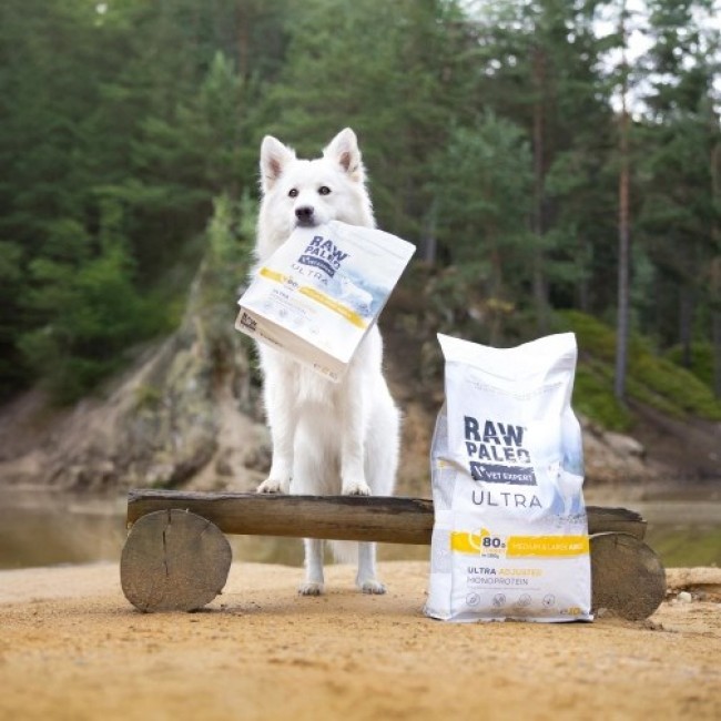 RAW PALEO Ultra Medium&Large Adult Turkey - dry dog food - 2 kg