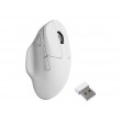 Keychron M7-A24 mouse Home Ambidextrous RF Wireless + Bluetooth + USB Type-C Optical 30000 DPI