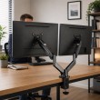 Esperanza ERW020 Gas desk mount for two monitors 17-27 up to 6kg