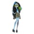 Monster High Scare-adise Island Frankie Stein Fashion Doll with Swimsuit & Accessories