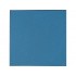 Thermal Grizzly Minus Pad Advance - 100 x 100 x 2.0 mm, 2 pieces