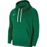 Nike Park 20 Hoodie green CW6957 302