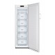 Gorenje FN4172CW freezer Drawer Freestanding 194 L E White