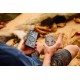 Urban Armor Gear Pathfinder Transparant mobile phone case 17.3 cm (6.8