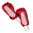 Boots dryer BOOTS OZONE DRYER 2 MT6532