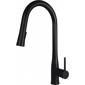Kitchen faucet with pull-out spout