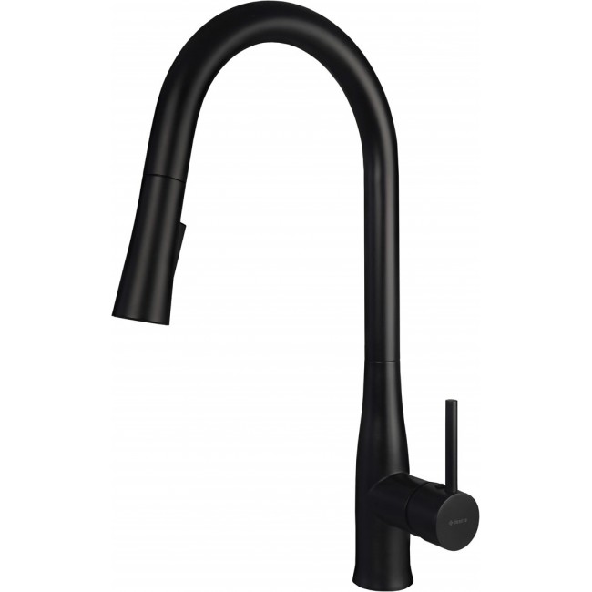 Kitchen faucet with pull-out spout Kitchen faucet with pull-out spout