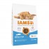IAMS Advanced Nutrition Cat Adult Ocean Fish - dry cat food - 10 kg