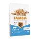 IAMS Advanced Nutrition Cat Adult Ocean Fish - dry cat food - 10 kg IAMS Advanced Nutrition Cat Adult Ocean Fish - dry cat food - 10 kg
