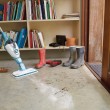Black & Decker FSMH1321J steam cleaner Steam mop 0.5 L 1300 W Blue, White