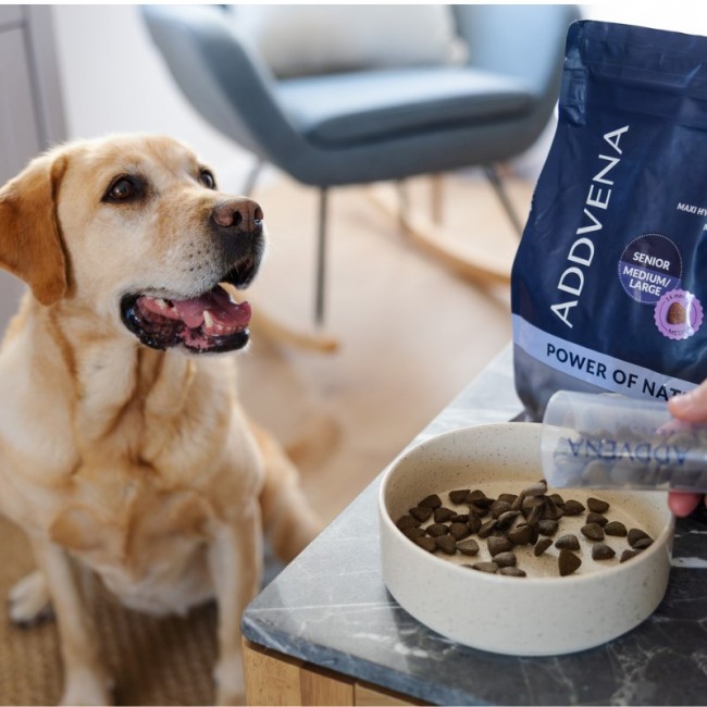 ADDVENA Power of Nature Senior Medium/Large Lamb - dry dog food - 2,5kg ADDVENA Power of Nature Senior Medium/Large Lamb - dry dog food - 2,5kg