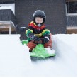 Hamax Sno Zebra Snow racer Green Polyethylene