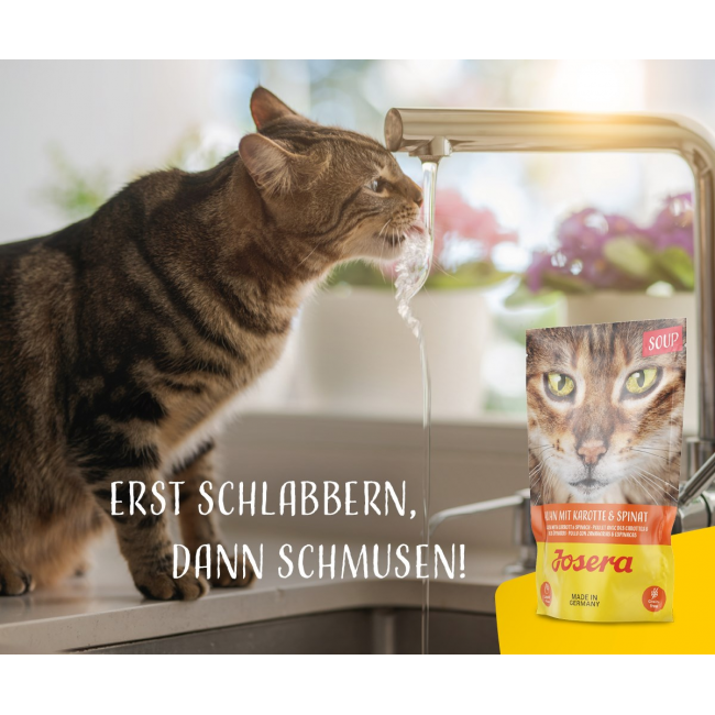 JOSERA Chicken soup with carrots and spinach - wet cat food - 70 g