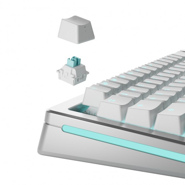 Glorious Gaming Glorious Lynx HE Switches - 36 pieces