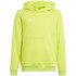 adidas Entrada 22 Hoody Hoody Sweatshirt Lime HC5069 152cm