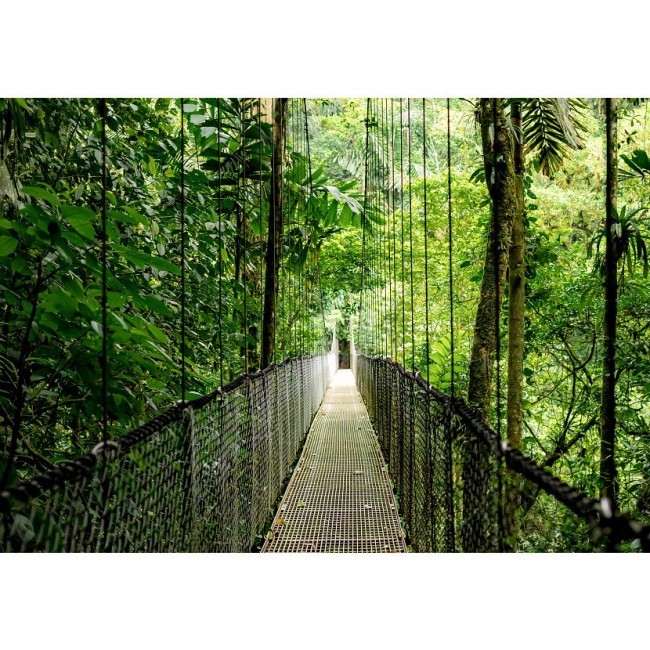 HP EliteBook 6 G1a Ryzen AI 5 340 14.0