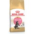 ROYAL CANIN Maine coon FBN Kitten - dry cat food - 400g