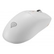 GENESIS NMG-2194 mouse Gaming Ambidextrous Bluetooth + USB Type-C Optical 26000 DPI