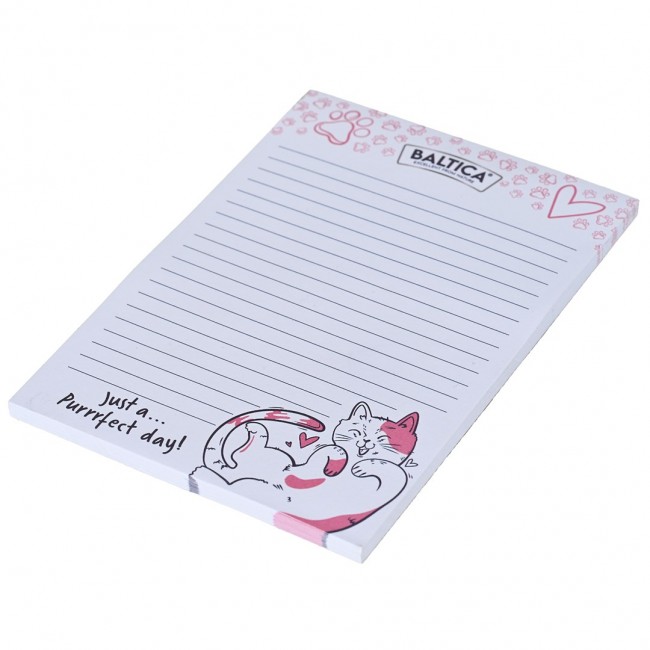 BALTICA Notebook BALTICA Notebook