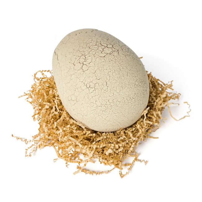 Jurassic World Primal Hatch Interactive Toy Dinosaur & Egg, Hatch & Train your own Baby Dino with 100+ Sounds & Reactions, Kids Toys for Boys & Girls Aged 5 & Up