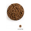 ACANA Senior - dry dog food - 11,4kg