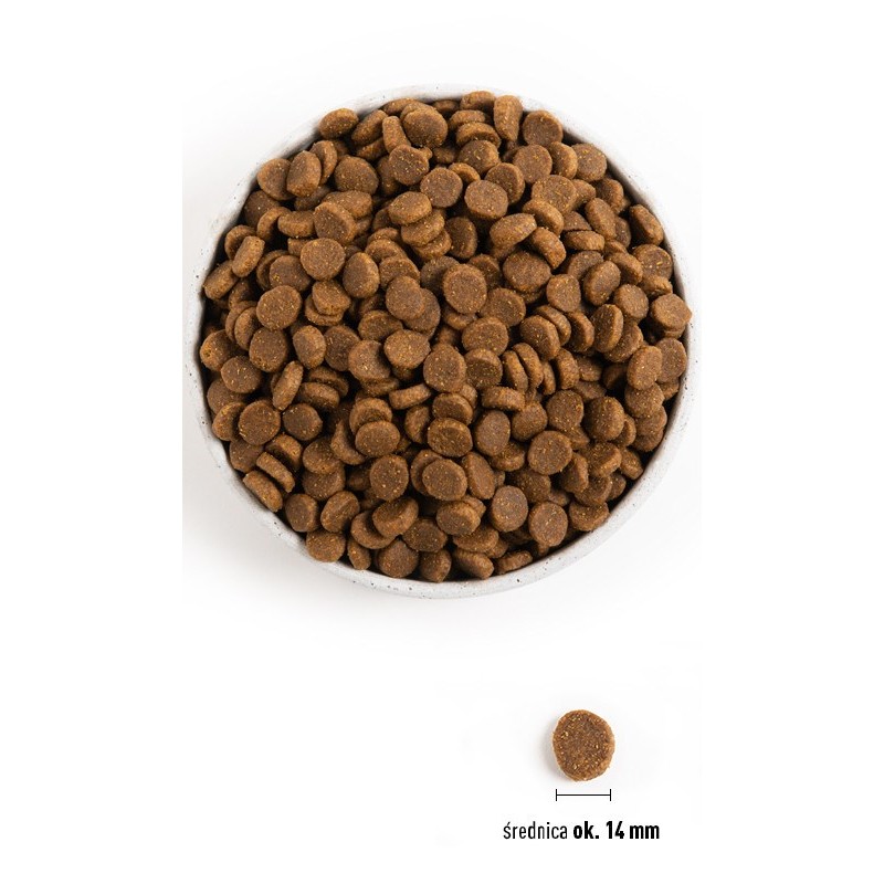 ACANA Senior - dry dog food - 11,4kg