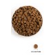ACANA Senior - dry dog food - 11,4kg