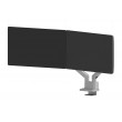 Neomounts DS70-250SL2 Monitor arm 17-32