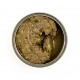 3COTY Turkey with chlorella Sterilised and overweight cats - wet cat food - 80g 3COTY Turkey with chlorella Sterilised and overweight cats - wet cat food - 80g