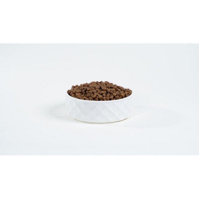 BULT Salmon with trout - dry dog food - 12kg