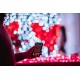 TWINKLY Curtain 210 (TWW210SPP-TEU) Intelligent LED Lights 210 LED RGB+W 2,1 m TWINKLY Curtain 210 (TWW210SPP-TEU) Intelligent LED Lights 210 LED RGB+W 2,1 m