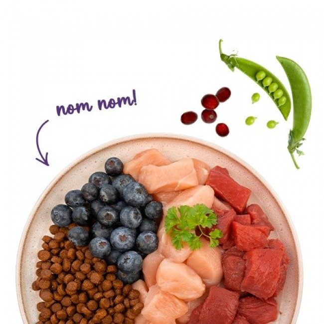 BOSCH Sanabelle Adult Ostrich & Blueberries - dry cat food - 2kg