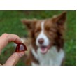 GELOREN Small dog Joints - dog vitamins - 180g GELOREN Small dog Joints - dog vitamins - 180g