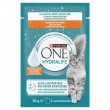 PURINA One Hydralife Chicken - cat treats - 50g