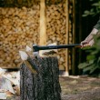 FISKARS SPLITTING AXE X32 X-SERIES BLADE L FISKARS SPLITTING AXE X32 X-SERIES BLADE L