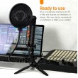 Monkey Banana Mico Black Table microphone