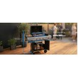 Ravanson GO-3 3-Burner Gas Grill 10,6 kW