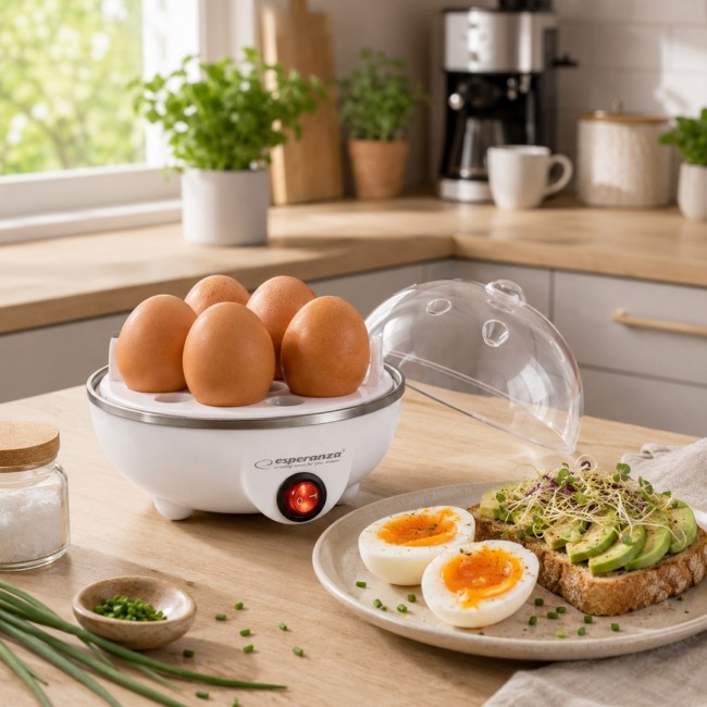Esperanza EKE001 egg cooker 7 egg(s) 350 W White