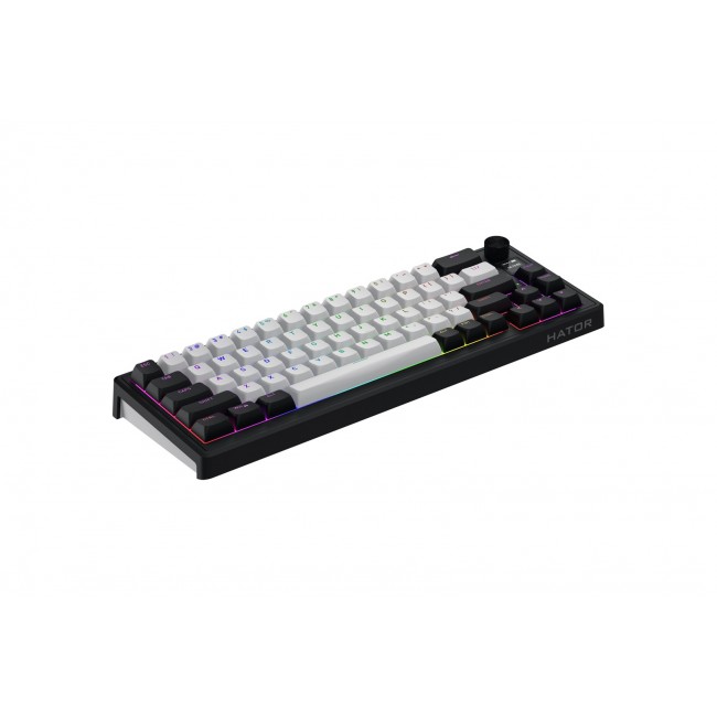 HATOR Skyfall 65 MAG ULTIMA 8K wireless keyboard Gaming USB + RF Wireless + Bluetooth QWERTY US English Black, White HATOR Skyfall 65 MAG ULTIMA 8K wireless keyboard Gaming USB + RF Wireless + Bluetooth QWERTY US English Black, White
