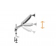 Digitus Single monitor mount, 32 Digitus Single monitor mount, 32