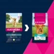 EUKANUBA Adult L XL Rich in lamb & rice - dry dog food - 12kg EUKANUBA Adult L XL Rich in lamb & rice - dry dog food - 12kg