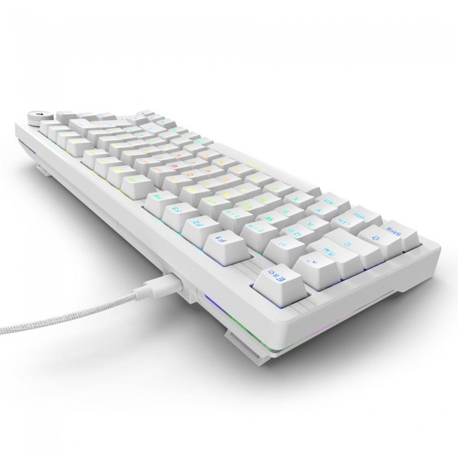 Sharkoon SGK25 keyboard Home USB QWERTZ German White