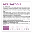 VETEXPERT Veterinary Diet Dermatosis Dog Lamb & Krill - dry dog food - 12 kg