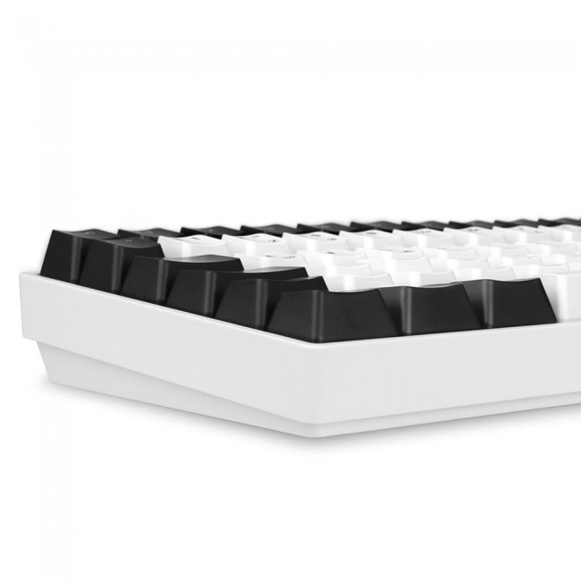 Sharkoon SKILLER SGK50 S3 keyboard Gaming USB QWERTZ German White Sharkoon SKILLER SGK50 S3 keyboard Gaming USB QWERTZ German White