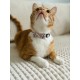ZOLUX Chatouille beige - cat collar ZOLUX Chatouille beige - cat collar